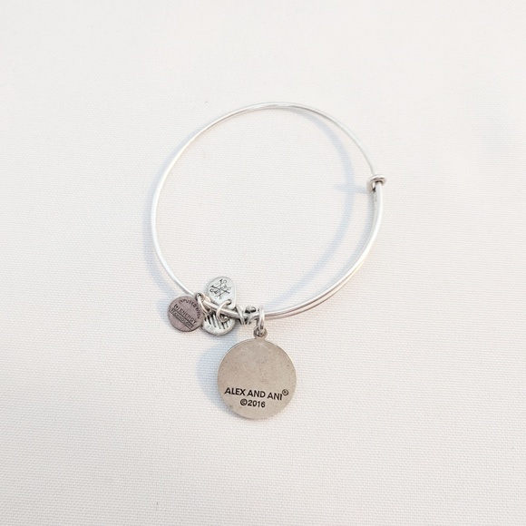 Alex and Ani Silver Jamaica Charm Bracelet - Picture 3 of 7